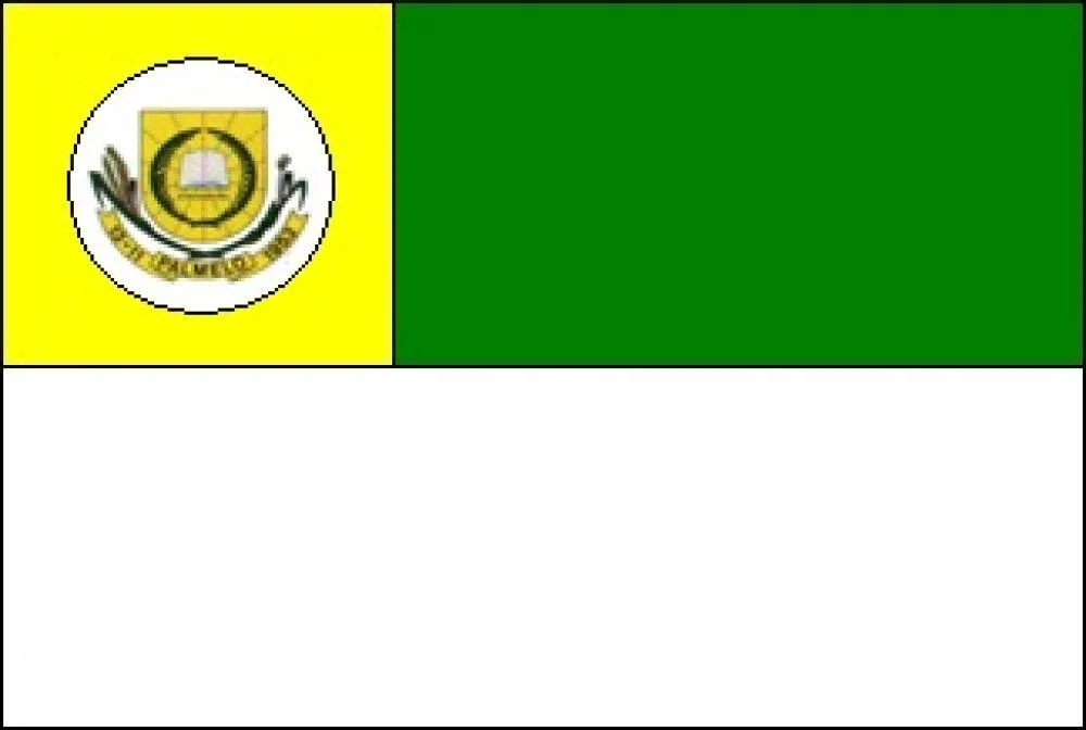 Bandeira de Palmelo, Goiás, Brasil.