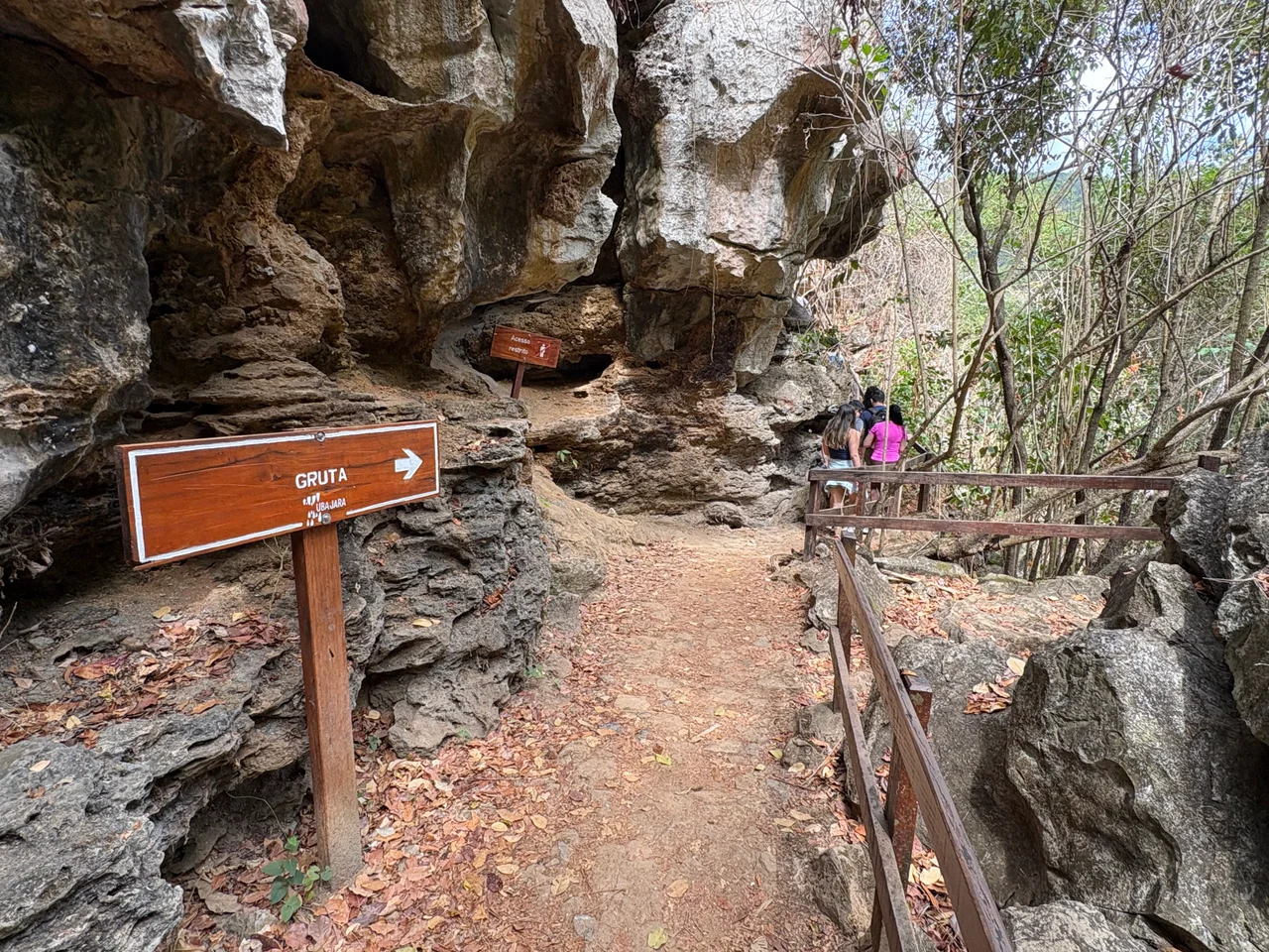 Parque Ubajara Weg zur Grotte