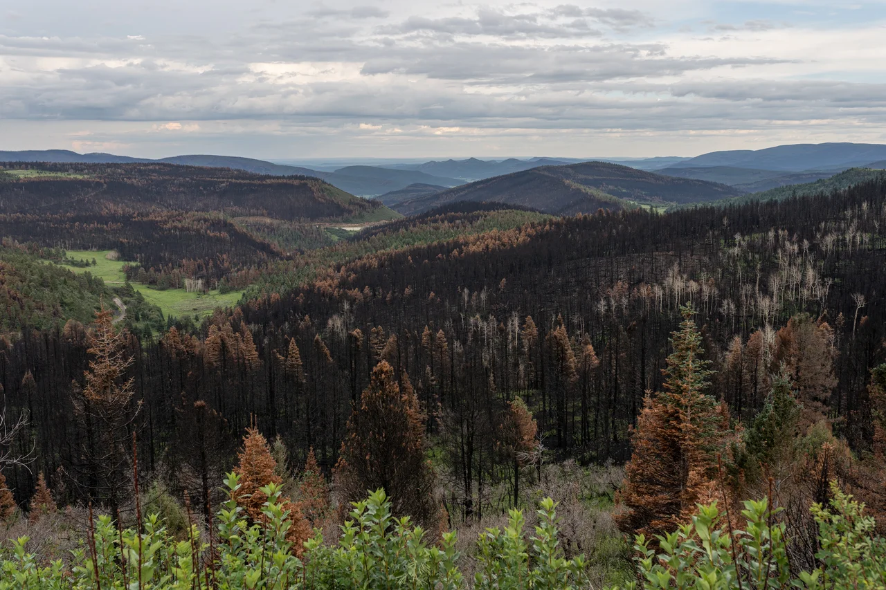 Looking south from NM518 towards burn scars from the Calf Canyon-Hermits Peak Fire.
Photo was taken just north of Holman, New Mexico on 16 August, 2022.
