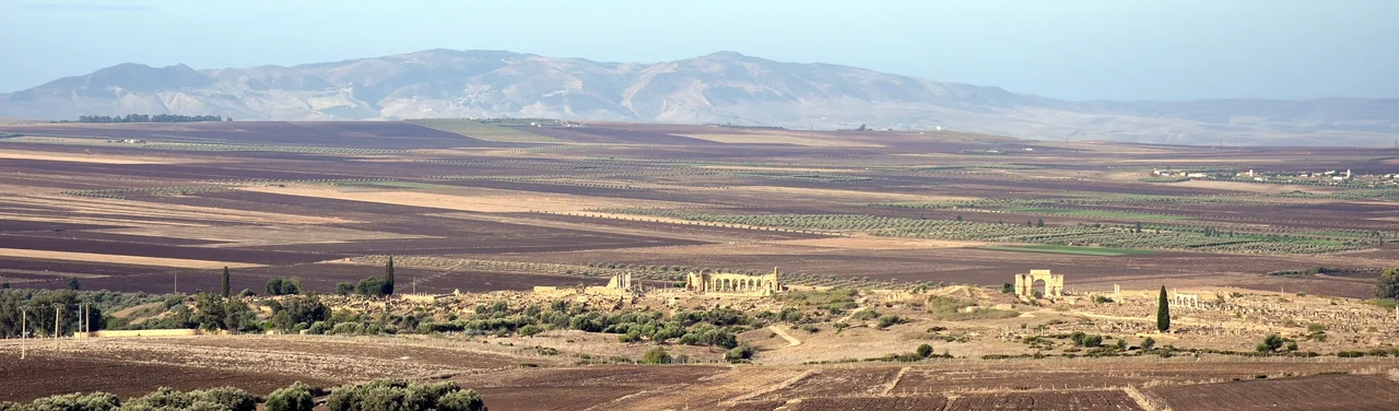 Вид на Волюбилис с востока. View of Volubilis from the east.