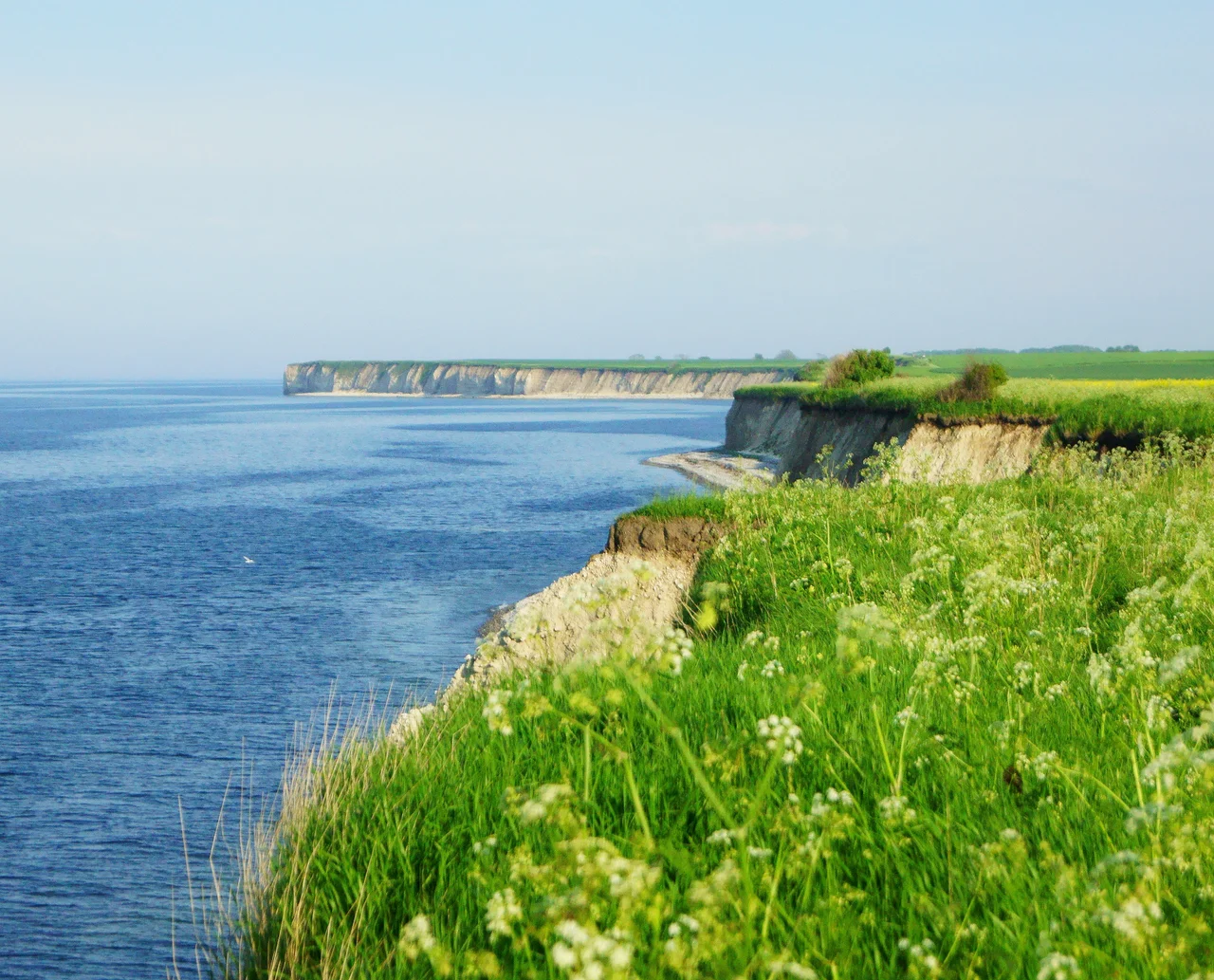 Sangstrup Klint forsommer