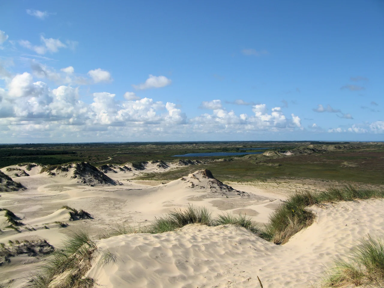 Råbjerg Mile is a migrating coastal dune between Skagen and Frederikshavn, Denmark.